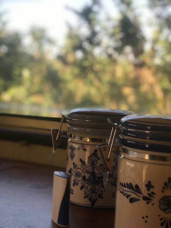 De Veenborg Kolham المظهر الخارجي الصورة